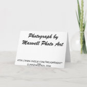 De blauwe Shirten, de Kaarten & de Giften van het (Achterkant)