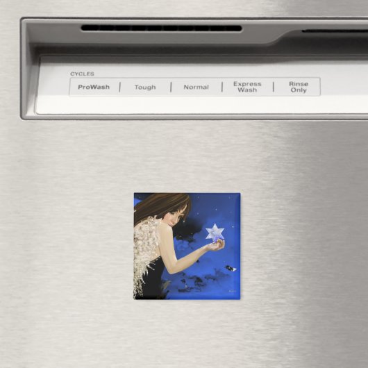 De blauwe ster magneet (Insitu (Vaatwasser))