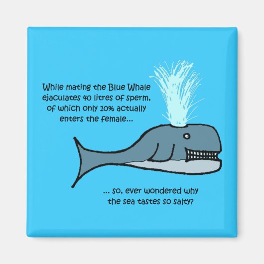 De blauwe vinvis... magneet (Voorkant)