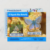 De blauwe vlinder van El Segundo wordt bedreigd Feestdagenkaart (Voorkant / Achterkant)