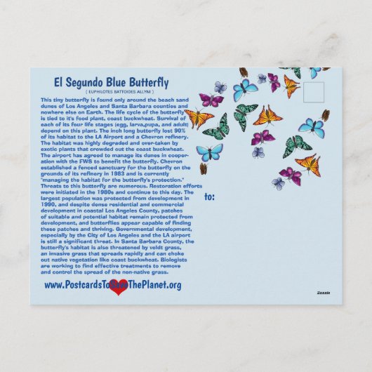 De blauwe vlinder van El Segundo wordt bedreigd Feestdagenkaart (Achterkant)