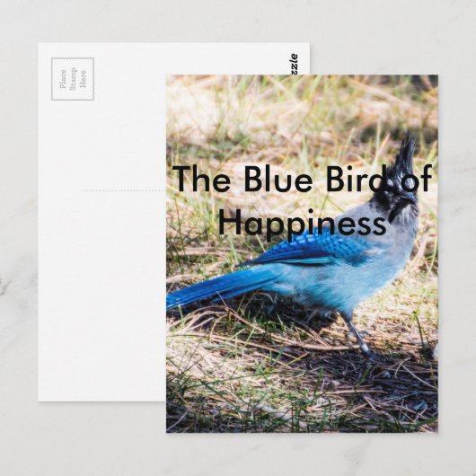 De blauwe vogel van geluk briefkaart (Voorkant / Achterkant)