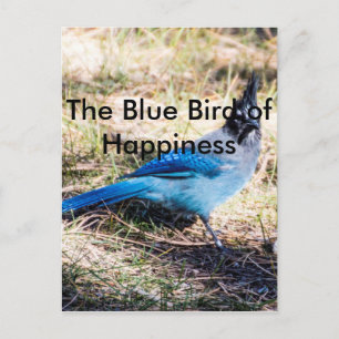 De blauwe vogel van geluk briefkaart