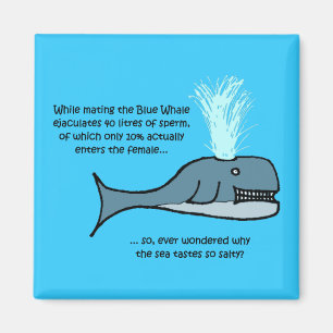De blauwe walvis... magneet