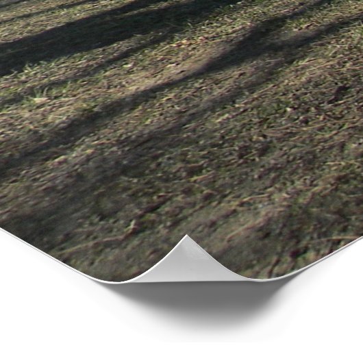 De blauwe walvis van Catoosa Poster (Hoek)