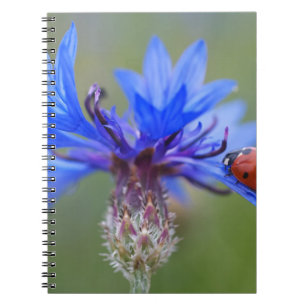 De blauwe Wijnstok van de Kunst van het Lot van de Notitieboek