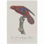 De blauwrandlori  sticker (Voorkant)