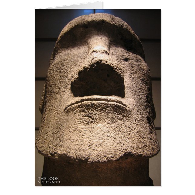 De blik (Voorkant)