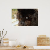 De blik poster (Keuken)