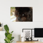 De blik poster (Thuiskantoor)