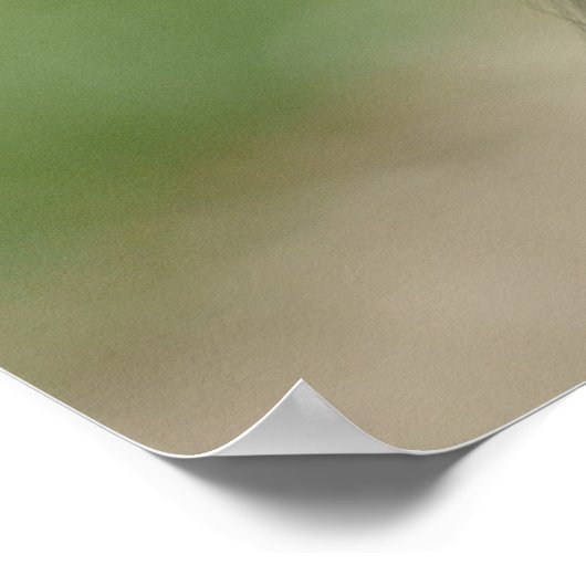 De blik van de bonobo poster (Hoek)