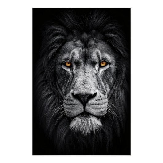 De blik van de koning perfect poster (Voorkant)