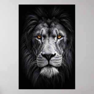 De blik van de koning poster