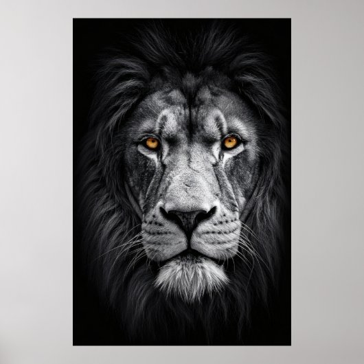 De blik van de koning poster (Voorkant)