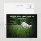 De blik van de wolf komt binnen... briefkaart (Voorkant / Achterkant)