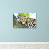 De blik van een luipaard canvas afdruk (Insitu (Houten vloer))