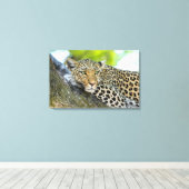 De blik van een luipaard canvas afdruk (Insitu (Houten vloer))