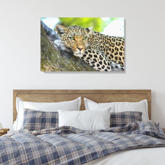 De blik van een luipaard canvas afdruk (Insitu (Slaapkamer))