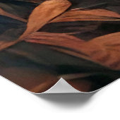 De blik van het Oerwoud Poster (Hoek)