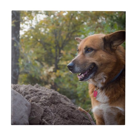 De blik van Loyalty Tegeltje (Voorkant)