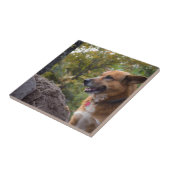 De blik van Loyalty Tegeltje (Zijkant)