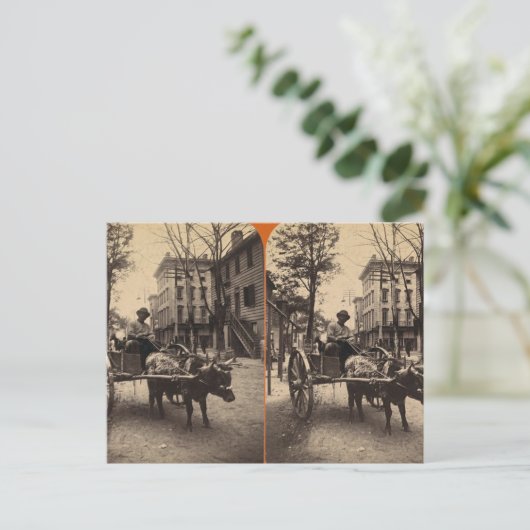 De bliksem Express, Savannah, Ga c. 1886 Briefkaart (Staand voorkant)