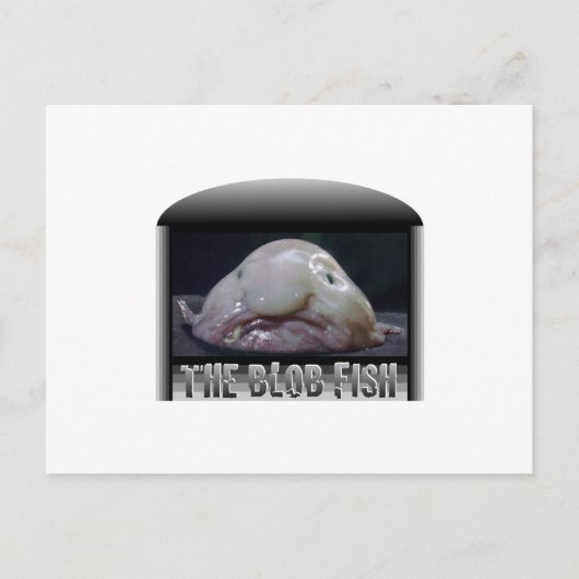 De blob vis briefkaart (Voorkant)