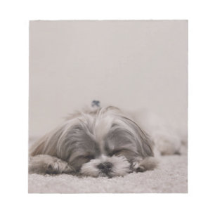 De Blocnote van de Slaap van tzu van Shih, de Hond