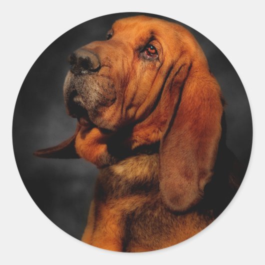 De bloedhond ronde sticker (Voorkant)