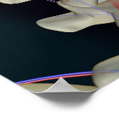 De bloedtoevoer van lendenwervels poster (Hoek)