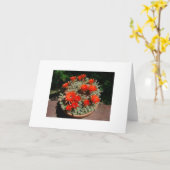 De Bloei van de Cactus van Firery Kaart (Gele Bloem)