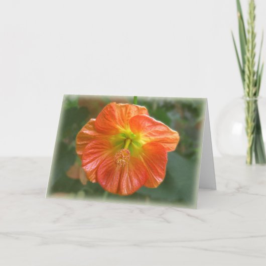 De Bloei van de esdoorn Kaart (Voorkant)