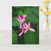 De Bloei van de kamperfoelie Kaart (Gele Bloem)