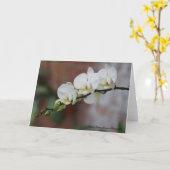 De Bloei van de orchidee Kaart (Gele Bloem)