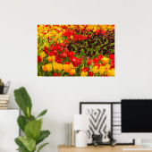 de bloei van tulpen op Poster Paper (Matte) (Thuiskantoor)