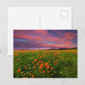De bloeiende Bloem van het Wereldbol Briefkaart (Voorkant / Achterkant)