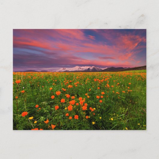 De bloeiende Bloem van het Wereldbol Briefkaart (Voorkant)