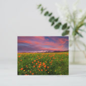 De bloeiende Bloem van het Wereldbol Briefkaart (Staand voorkant)