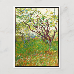 De Bloeiende Boomgaard door Vincent Van Gogh (1888 Briefkaart
