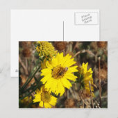 De Bloem en de bijen Briefkaart (Voorkant / Achterkant)