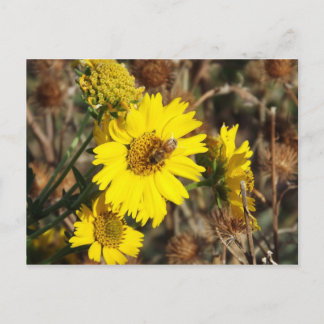 De Bloem en de bijen Briefkaart