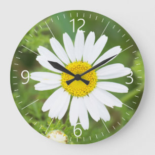 De bloem van Daisy Grote Klok