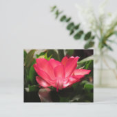 De Bloem van de Cactus van de Thanksgiving Feestdagenkaart (Staand voorkant)