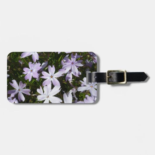 De bloem van de flox bagagelabel (Voorkant horizontaal)