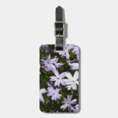 De bloem van de flox bagagelabel (Voorkant verticaal)
