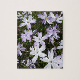 De bloem van de flox legpuzzel