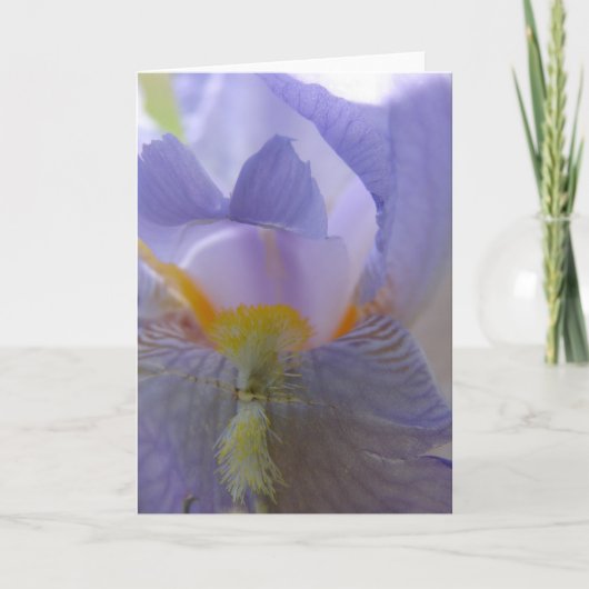 De Bloem van de iris Kaart (Voorkant)