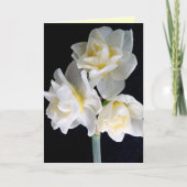 De Bloem van de jonquille - 3:1 Ecclesiastes Kaart (Voorkant)