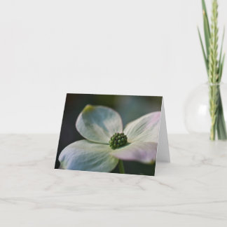 De Bloem van de kornoelje Notitiekaartje
