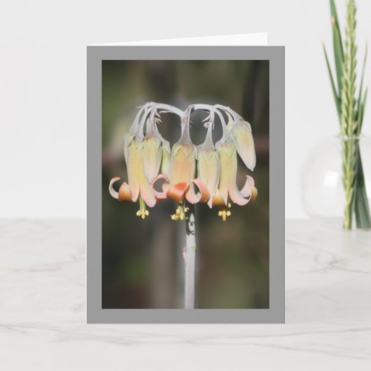 De bloem van de kroonluchter kaart (Voorkant)
